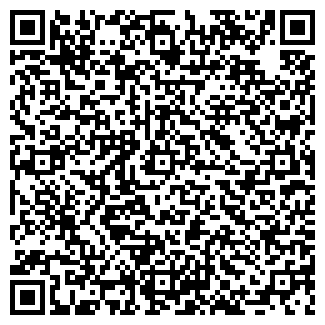 QR-код с контактной информацией организации Sasha Fabiani