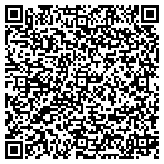 QR-код с контактной информацией организации Новолитовский, магазин