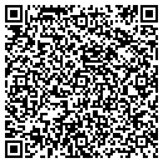 QR-код с контактной информацией организации Ромашка, продуктовый магазин