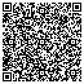 QR-код с контактной информацией организации Светоч