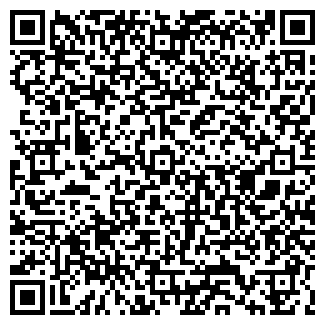 QR-код с контактной информацией организации Автостоянка №119