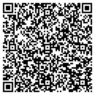 QR-код с контактной информацией организации «Город — N»