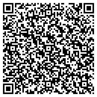QR-код с контактной информацией организации "Шайба" (Закрыт)