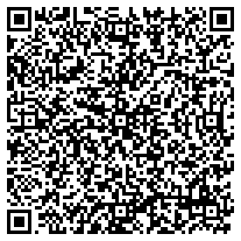 QR-код с контактной информацией организации "Молния"