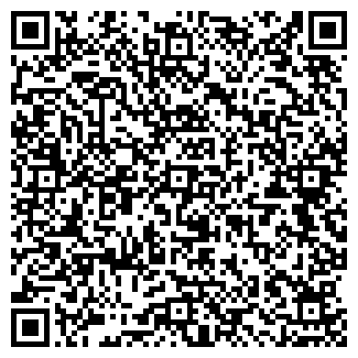 QR-код с контактной информацией организации "Вавилон" (Закрыта)