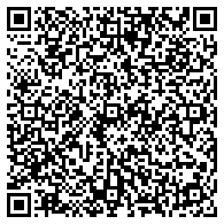 QR-код с контактной информацией организации Новогорск