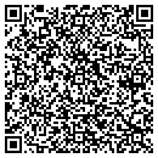 QR-код с контактной информацией организации Цвет и Контраст