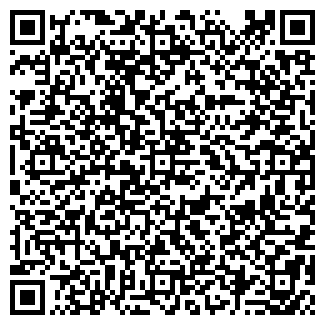 QR-код с контактной информацией организации "Палитра"