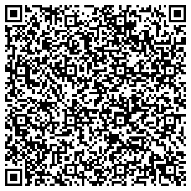 QR-код с контактной информацией организации ИП Чайка Н.А.