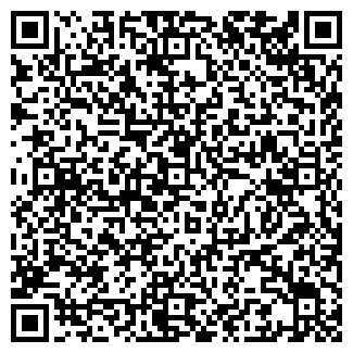 QR-код с контактной информацией организации Gyroscope.ru