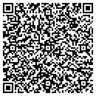 QR-код с контактной информацией организации Nice Connection (Закрыто)