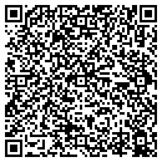 QR-код с контактной информацией организации БЛИЦ