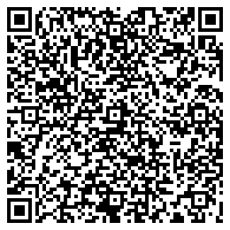 QR-код с контактной информацией организации ЗВЕЗДА