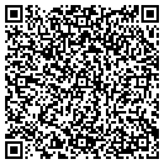 QR-код с контактной информацией организации Бистро на Саянской, 9Б