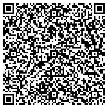 QR-код с контактной информацией организации ИП Стадзинский Г.А. Люстры