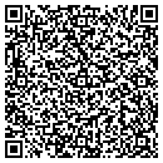 QR-код с контактной информацией организации ИП "Лучший мир "