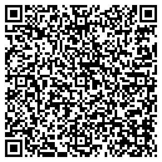 QR-код с контактной информацией организации ИП "Шмель"