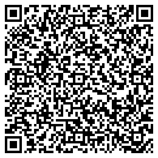 QR-код с контактной информацией организации ИП "Борисов"