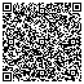 QR-код с контактной информацией организации ИП "Swarim"