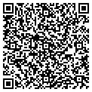 QR-код с контактной информацией организации "Блиц"