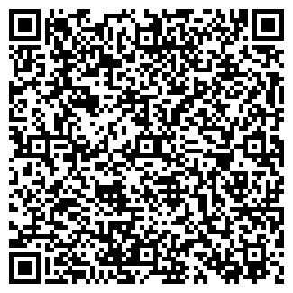 QR-код с контактной информацией организации ИП "СамСтрой"