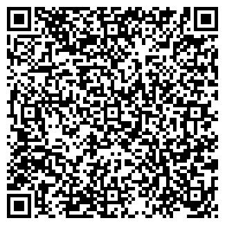 QR-код с контактной информацией организации НОВИНСКОЕ