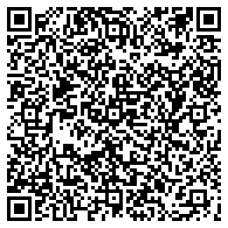 QR-код с контактной информацией организации ИП Митько В. Л. "Тонирование стёкол"