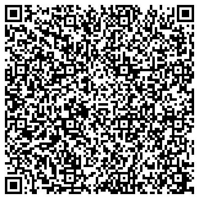 QR-код с контактной информацией организации Sal y Limon Продажа ювелирной бижутерии "Sal y Limon" (Швейцария)