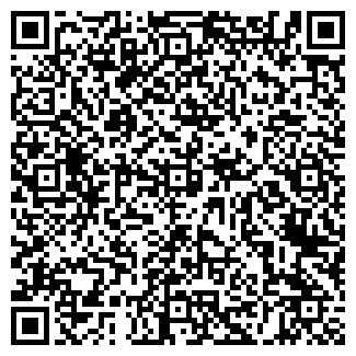 QR-код с контактной информацией организации ИП Иванова Такси MskCity