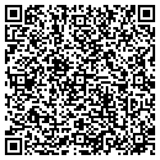 QR-код с контактной информацией организации ИП «Magnificum»