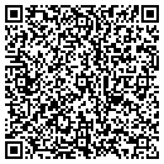 QR-код с контактной информацией организации ИП "Хамелеон"