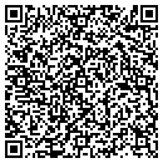 QR-код с контактной информацией организации ОАО Тату салон "Дина"