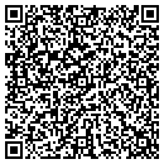 QR-код с контактной информацией организации ИП Exclusive - S