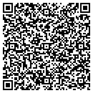 QR-код с контактной информацией организации ИП Frosn-art