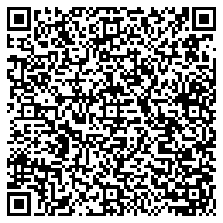 QR-код с контактной информацией организации ИП "Мокко"