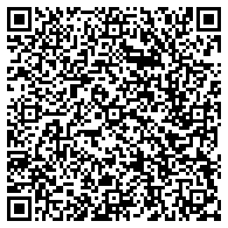 QR-код с контактной информацией организации ООО Мастеская Denis