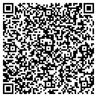 QR-код с контактной информацией организации ВИЛЕНА САЛОН