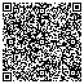 QR-код с контактной информацией организации ООО Геокорп