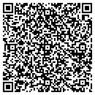 QR-код с контактной информацией организации ИП Немцова Н.Н. Камины