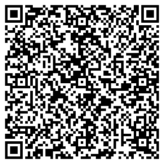 QR-код с контактной информацией организации ИП "Палей"