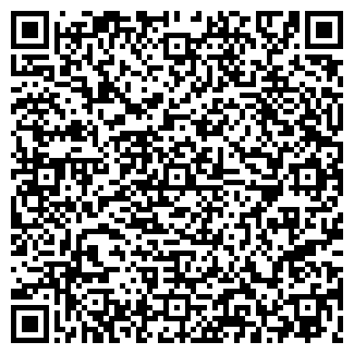 QR-код с контактной информацией организации ИП Пицца Микс