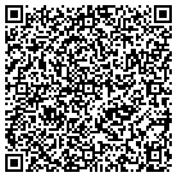 QR-код с контактной информацией организации ИП Чернявский С. В. Skai Avto