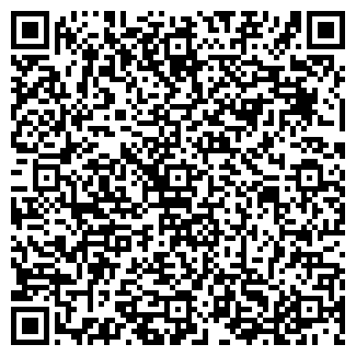QR-код с контактной информацией организации ООО "МИР"