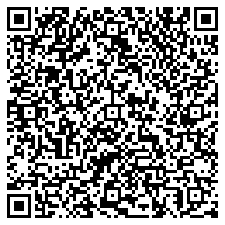 QR-код с контактной информацией организации ИП Зубков И.А. Частный мастер
