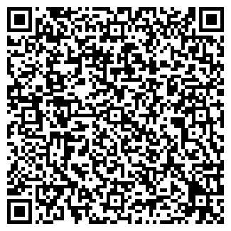 QR-код с контактной информацией организации ИП Борисова С.В. Пасека