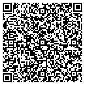 QR-код с контактной информацией организации ИП Потолок РМ