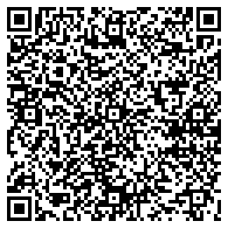 QR-код с контактной информацией организации ИП Маникин В. А. Ямайка