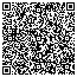 QR-код с контактной информацией организации ИП Shisha House