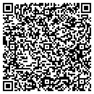 QR-код с контактной информацией организации ИП Новые Технологии