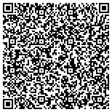 QR-код с контактной информацией организации «Центральная детская школа искусств» городского округа Химки
